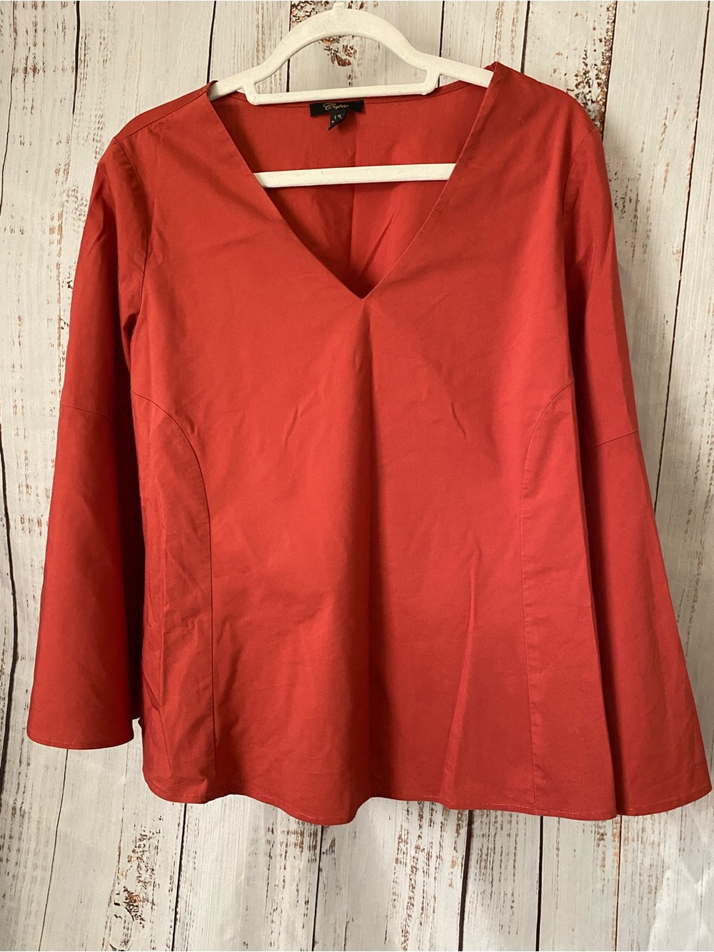Cupio Rust Red V-Neck Women's Top - large
